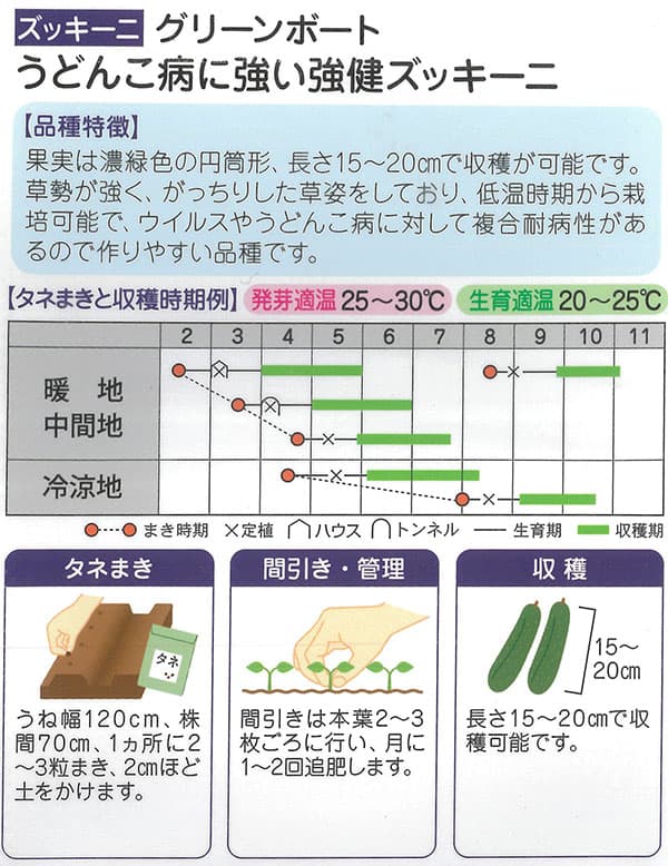 ズッキーニ：うどんこ病に強い 強健ズッキーニ グリーンボート1号[野菜タネ]*