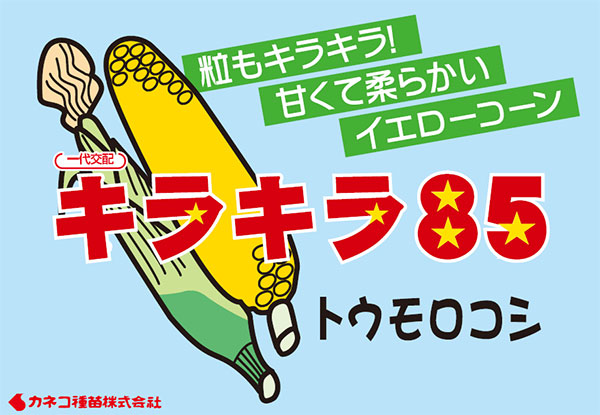 トウモロコシ：甘味たっぷり ジューシートウモロコシ キラキラコーン [野菜タネ]*