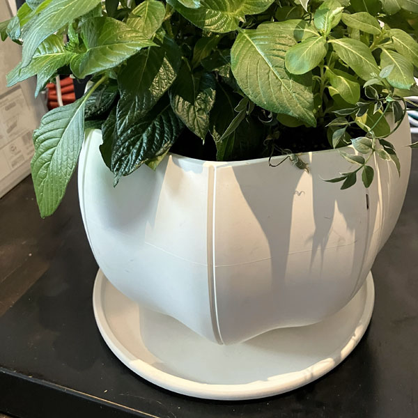 Sen シリーズ：プレート 丸 Sサイズ（直径13.8cm）ホワイト