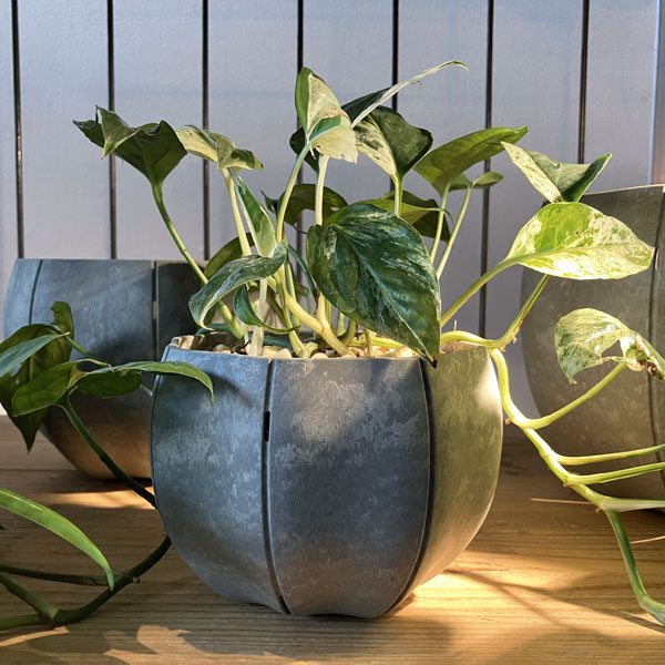 Sen シリーズ：プレート 丸 Mサイズ（直径18.4cm）グレー