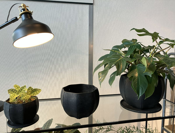 Sen シリーズ：プレート 丸 Sサイズ（直径13.8cm）ブラック