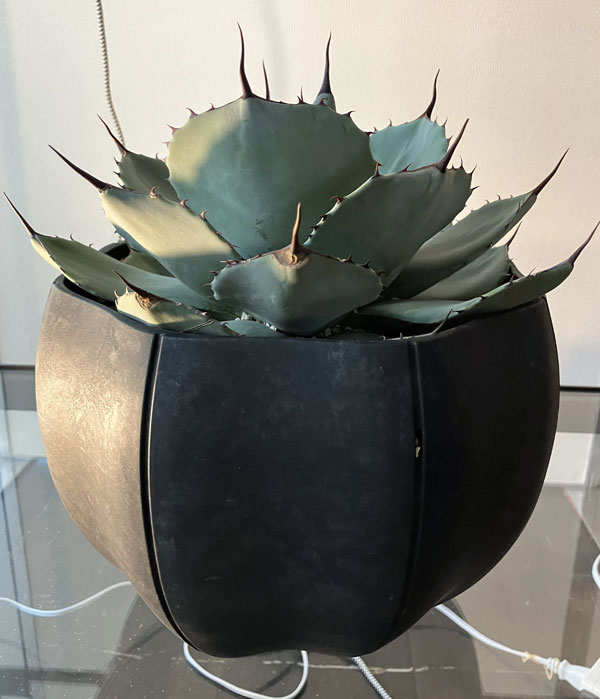 Sen シリーズ：ローリーポット 丸 Lサイズ（直径24.7cm）ブラック