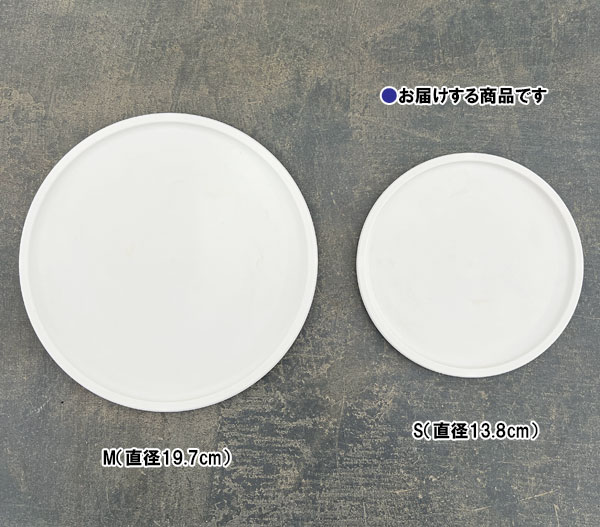 Sen シリーズ：プレート 丸 Sサイズ（直径13.8cm）ホワイト