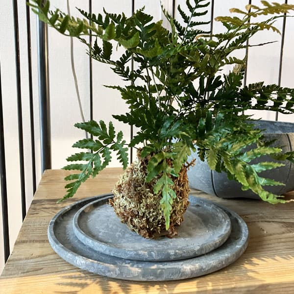 Sen シリーズ：プレート 丸 Sサイズ（直径13.8cm）ブラック