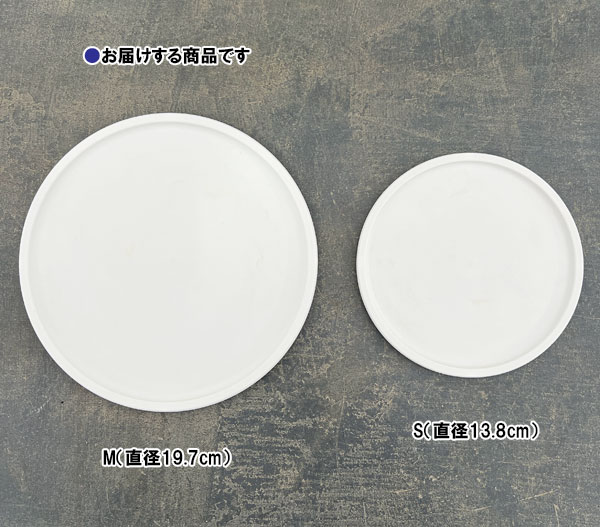 Sen シリーズ：プレート 丸 Mサイズ（直径18.4cm）ホワイト