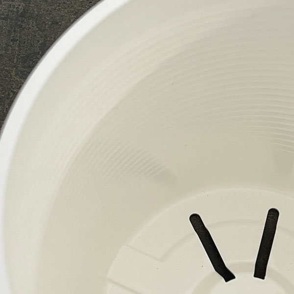 セラアート5号Sサイズ(白)