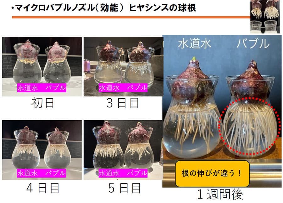 カクイチ：シャワーロング