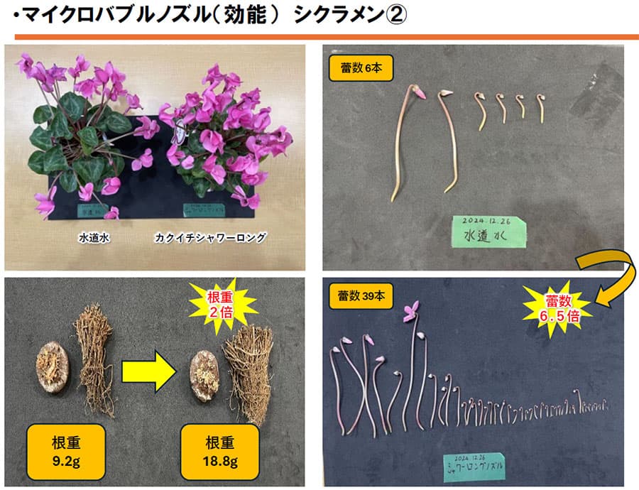 カクイチ：シャワーロング