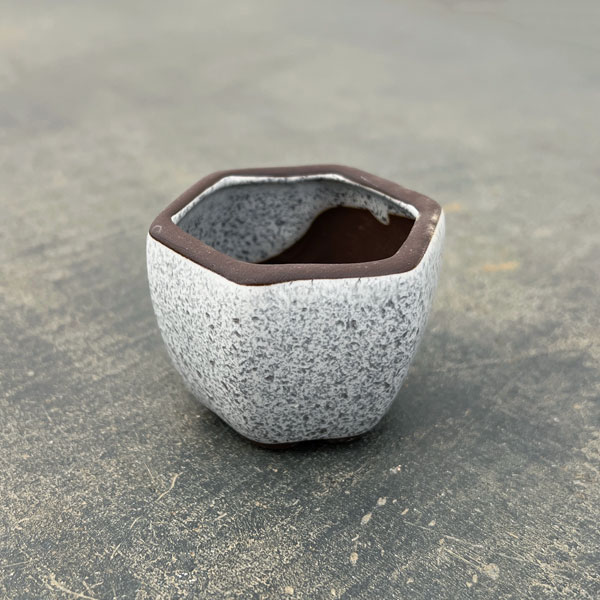 マメポットB　六角形・鉢色おまかせ1鉢（直径6cm）