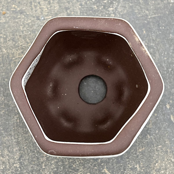 マメポットB　六角形・鉢色おまかせ1鉢（直径6cm）