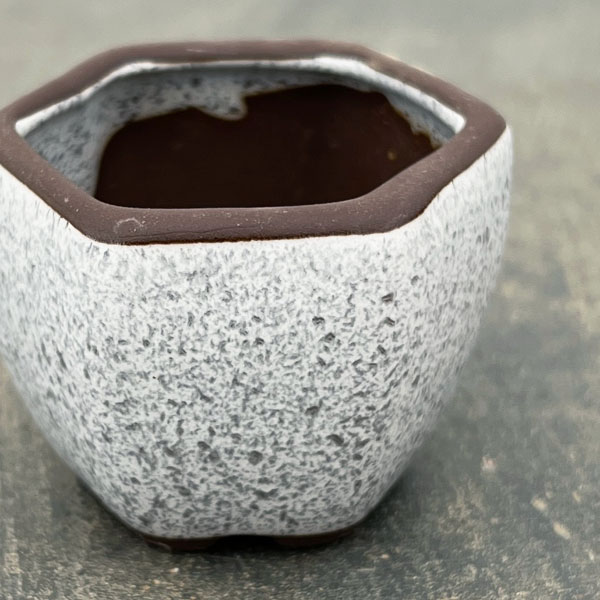 マメポットB　六角形・鉢色おまかせ1鉢（直径6cm）
