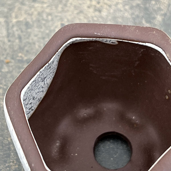 マメポットB　六角形・鉢色おまかせ1鉢（直径6cm）