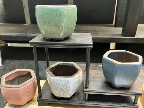 マメポットB　六角形・鉢色おまかせ1鉢（直径6cm）