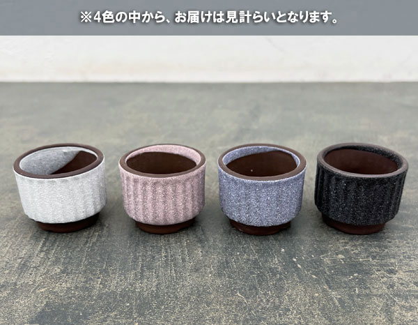 マメポットC　丸形縦筋・鉢色おまかせ1鉢（直径約4.8cm）