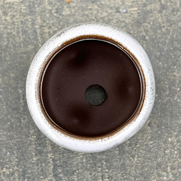 マメポットE 丸形・鉢色おまかせ1鉢(直径約3.5cm)