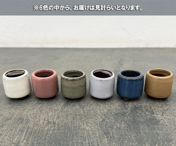 マメポットE 丸形・鉢色おまかせ1鉢(直径約3.5cm)