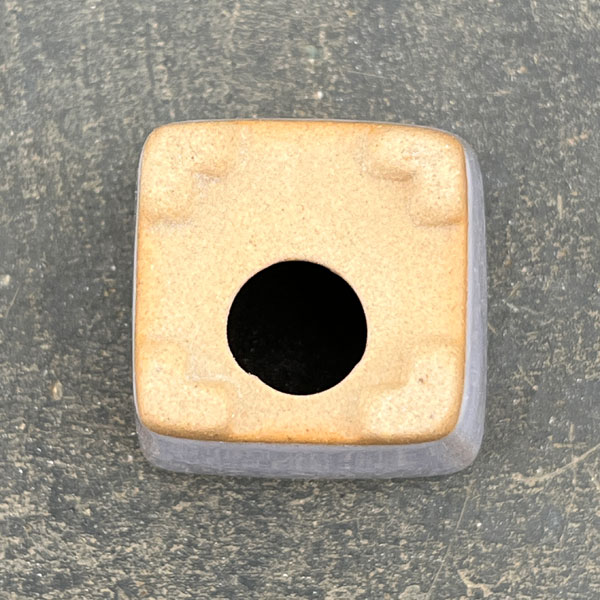 マメポットH　角形・鉢色おまかせ1鉢（直径4cm）