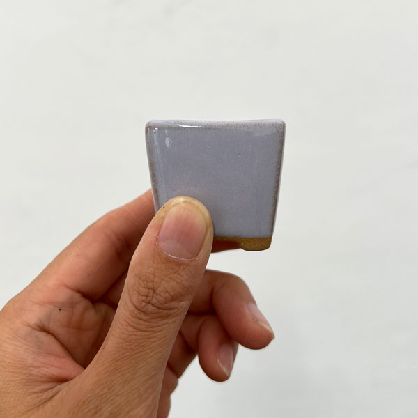 マメポットH　角形・鉢色おまかせ1鉢（直径4cm）