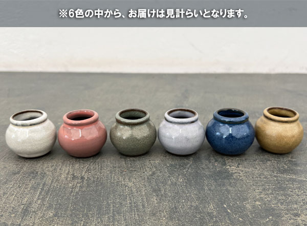 マメポットI　壺形・鉢色おまかせ1鉢（直径約4.3cm）