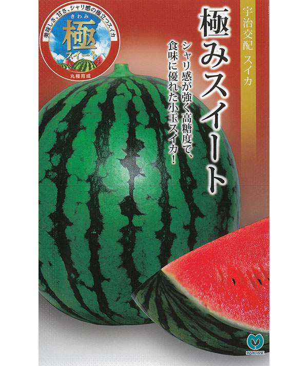 スイカ：極みスイート[野菜タネ　丸種]