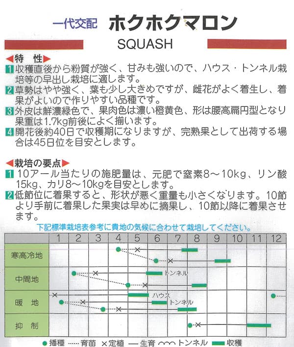 カボチャ：ホクホクマロン[野菜タネ　丸種]