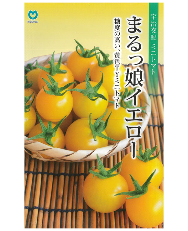 トマト（ミニ）：まるっ娘（こ）イエロー[かわいく美味しいミニトマト 野菜タネ 丸種]