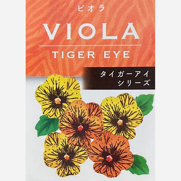 ビオラ:タイガーアイ レッド3-3.5号ポット