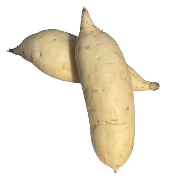 サツマイモ：しろほろり4連カットパック