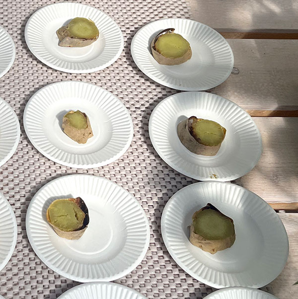 サツマイモ：しろほろり4連カットパック