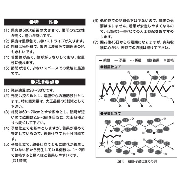 [26年4月下旬予約]カボチャ：パンプキッズ自根苗3.5号ポット