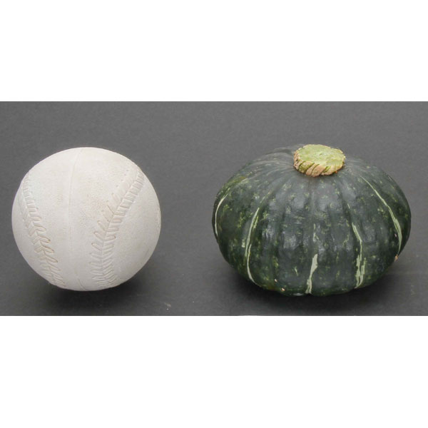 [26年4月下旬予約]カボチャ：パンプキッズ自根苗3.5号ポット