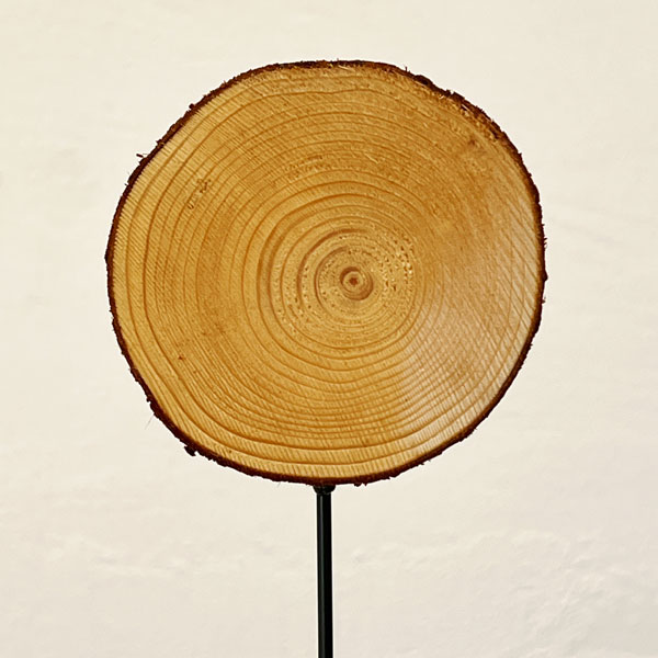 ガーデンピック:やっちゃんねるコラボ記念ピック