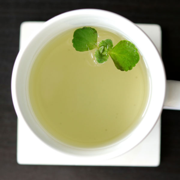 アロマティカス3号ポット*