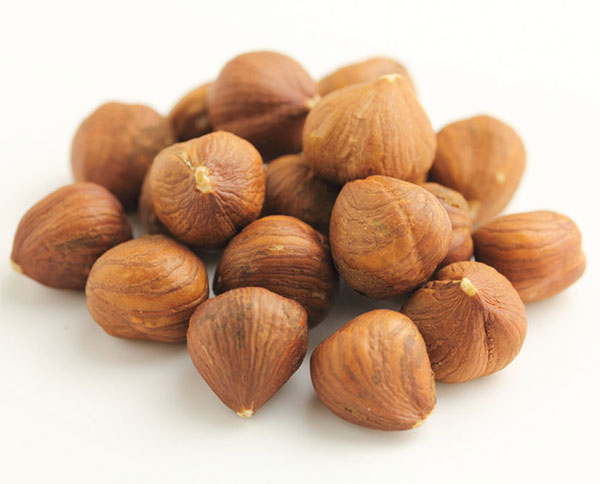 ヘーゼルナッツ(西洋ハシバミ):ノッティンガムフルー3.5号ポット