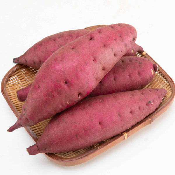 [26年4月下旬予約]サツマイモ苗：栗かぐや(R)3号ポット(PVP)