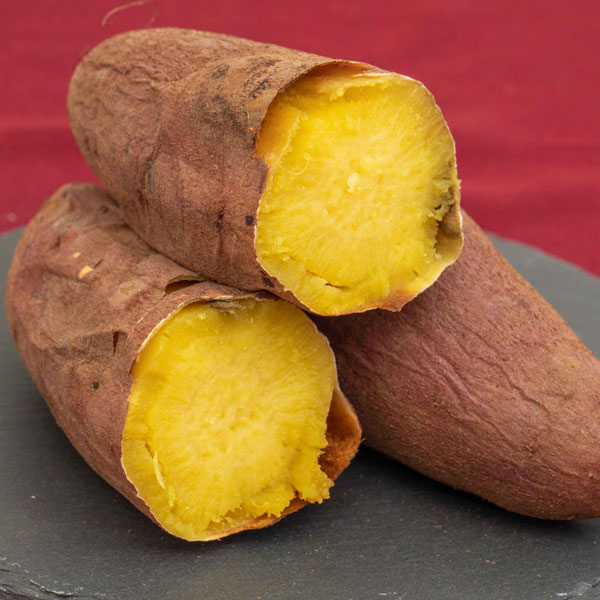 [26年4月下旬予約]サツマイモ苗：栗かぐや(R)3号ポット(PVP)