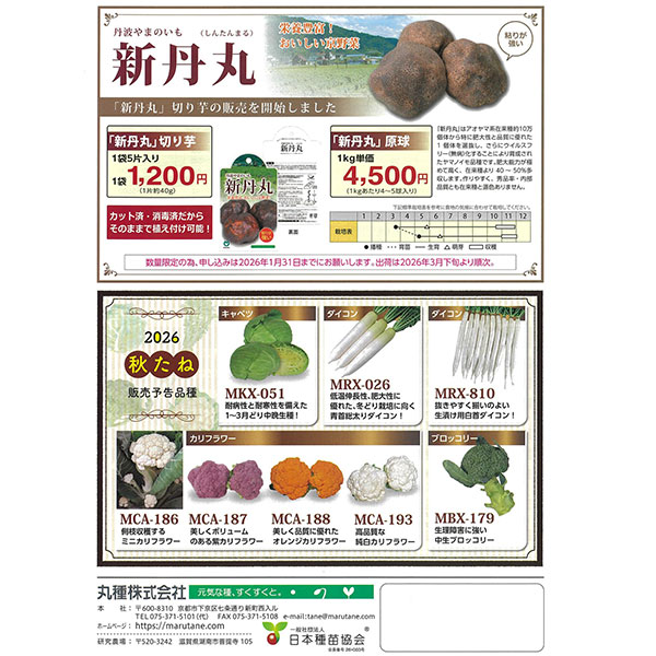 【会員プレゼント】商品カタログ：丸種 良種2026春（春まき野菜の種カタログ）