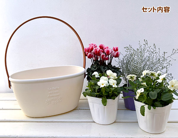 季節のミニ寄せ植え:ビオラももか みるくももか(ワンハンドプランター・ホワイト)