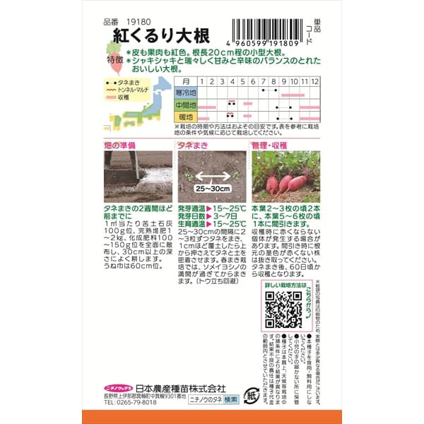 ダイコン：紅くるり大根 の種[野菜タネ]*