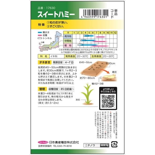 トウモロコシ（スイートコーン）：スイートハミー の種[抜群に甘い！　野菜タネ]