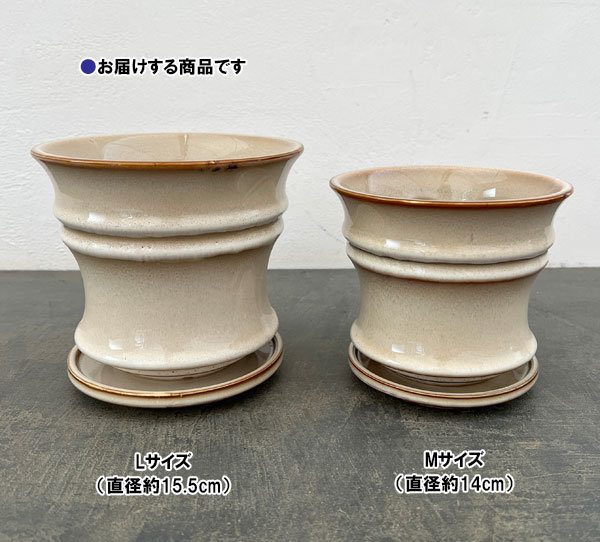 エルダ：白L（直径15.5cm・皿付）