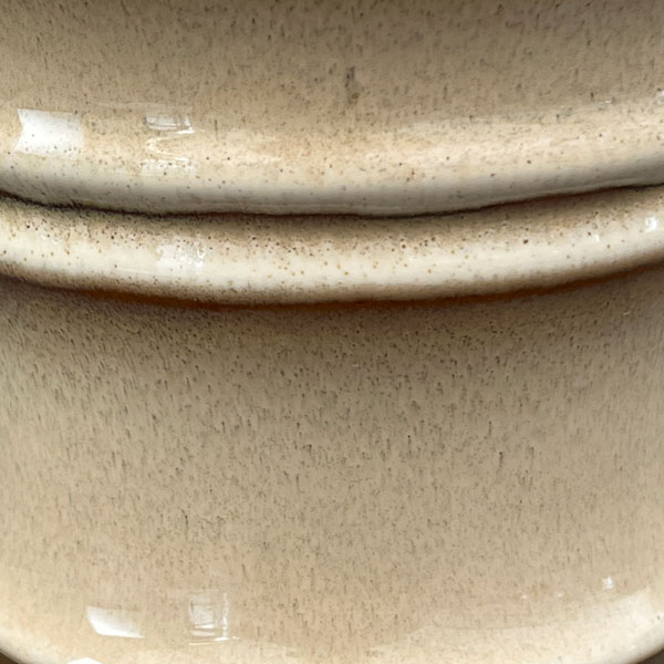 エルダ：白M（直径14cm・皿付）