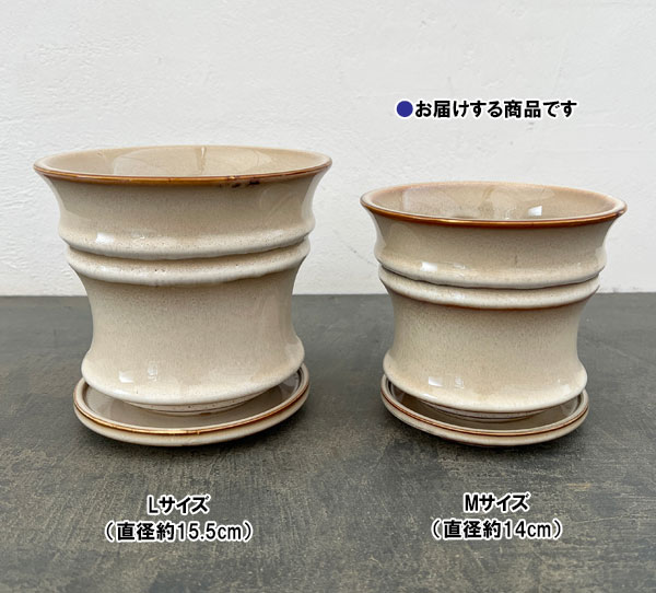 エルダ：白M（直径14cm・皿付）