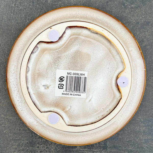 アガタ:白L(直径約15cm・皿付)