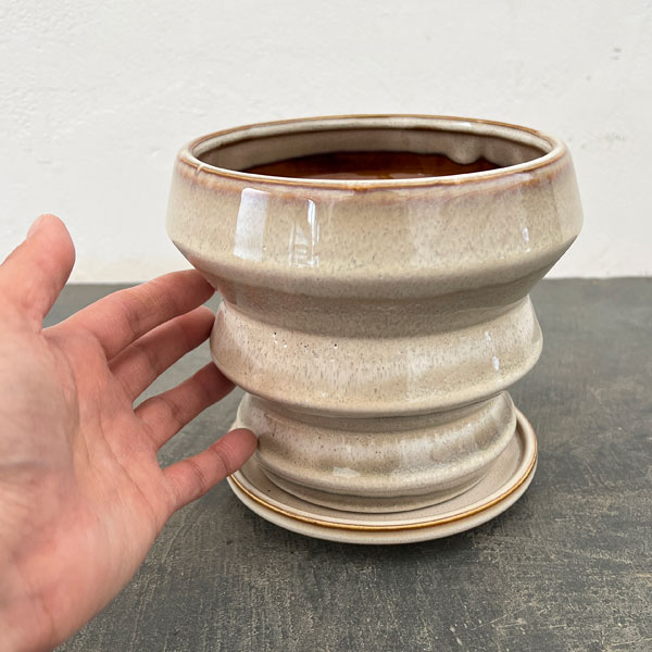 アガタ:白L(直径約15cm・皿付)