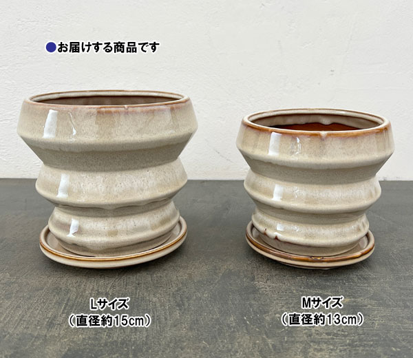 アガタ:白L(直径約15cm・皿付)