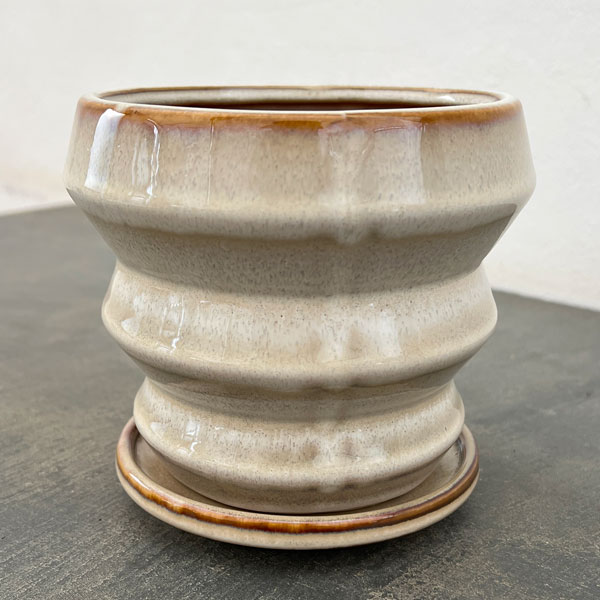 アガタ：白M（直径約13cm・皿付）