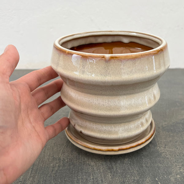 アガタ：白M（直径約13cm・皿付）