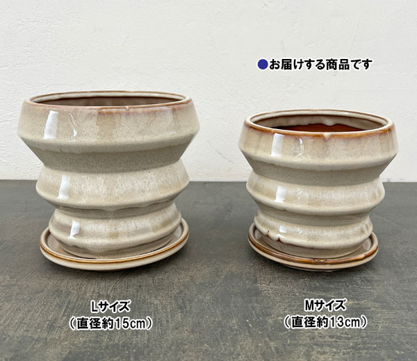 アガタ：白M（直径約13cm・皿付）