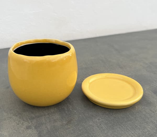 アンジェラ：黄L（直径約11cm）・皿付